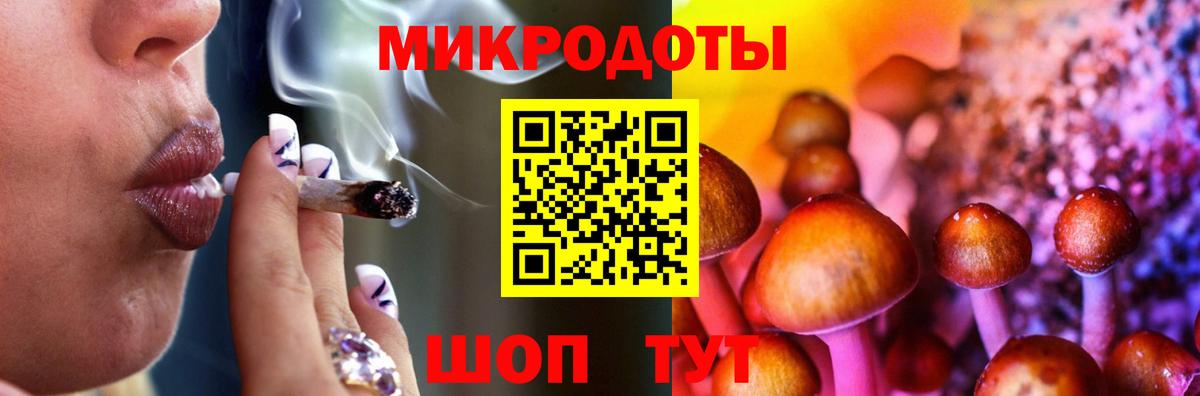 Новороссийск  Галлюциногенные грибы мицелий  как найти   Галлюциногенные грибы GOLDEN TEACHER  Вход с VPN 
